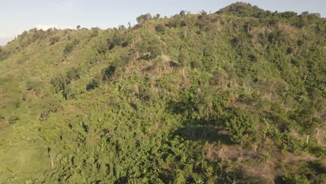 4K-Aerial-Footage-Of-Hillside-Covered-in-Plantation-of-Trees-near-Khlong-Bod-Reservoir-in-Nakhon-Nayok,-Thailand