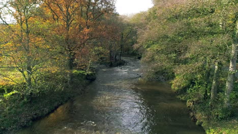 North-York-Moors,-Yorkshire-River-Esk-Drone-Footage,-flight-from-the-river,-up-through-Autumnal-trees,-Egton-Bridge,-Phantom-4-aerial---Autumn-Clip-1