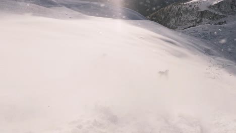 Filmisches-Downhill-Freeride-Skifahren-Zweier-Professioneller-Skibergführer-Im-Frischen-Tiefschnee-Mit-Herrlicher-Berglandschaft