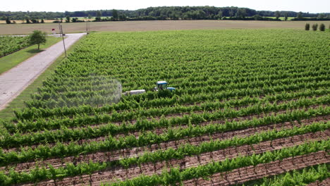 Tractor-Spraying-Young-Green-Vineyards-With-Chemicals-On-A-Sunny-Summer-Day