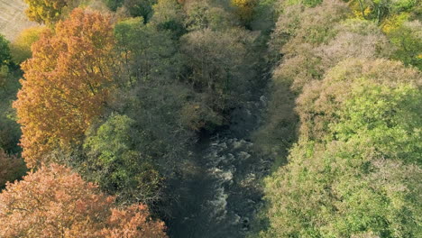 North-York-Moors,-Yorkshire-River-Esk-Drohnenaufnahmen,-Flug-über-Den-Fluss,-Zwischen-Herbstlichen-Bäumen,-Egton-Bridge,-Phantom-4-Luftaufnahme---Herbst-Clip-5