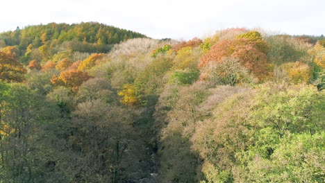 North-York-Moors,-Yorkshire,-River-Esk-Drone-Footage,-Flight-between-the-Autumnal-trees,-Egton-Bridge,-Phantom-4-aerial---Autumn-Clip-14