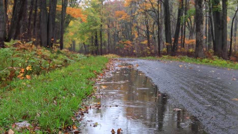 Rain-drops-on-road-in-Autumn