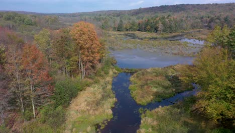 Antenne-Der-Herbstfarben-Und-Des-Flusses