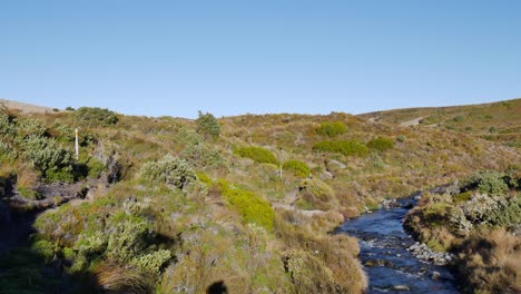 Female-hiker-on-shrub-lined-trail-beside-narrow-mountain-stream