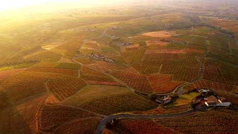 Aerial-view-of-vineyard-landscape-during-sunset-golden-hours,-European-land-for-champagne-wine-production