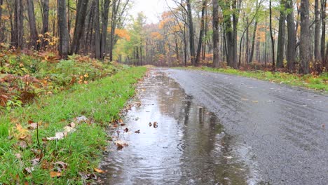 Road-close-up-of-rain-drops-in-Autumn