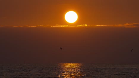 Goldgelber-Orangefarbener-Sonnenuntergang-über-Wolken-Und-Ozean-Mit-Vorbeifliegenden-Vögeln