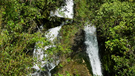 Idyllische-Wasserfallkaskade-Und-Erstaunliche-Natur-Im-Dschungelwald-Von-Neuseeland---Titl-Down-Shot