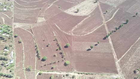 Aerial-view-of-already-harvested-crop-fields-near-village-of-Loitokitok,-Kenya