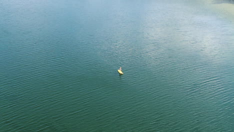 Lonely-person-paddleboarding-on-vast-Lithuanian-lake,-aerial-drone-view