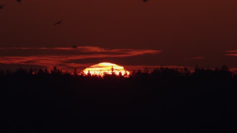 Sonnenaufgang-Nahaufnahme-Heißluft-Verzerrte-Atmosphärische-Wirkung-Wackeliges-Bild
