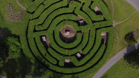 Flying-out-of-a-cedar-maze