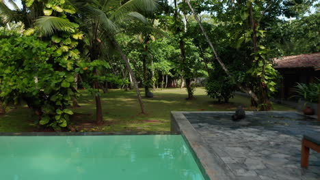 Piscina-Exterior-Elevada-Con-Agua-Cristalina-En-El-Resort-Tropical-Privado-En-Sri-Lanka