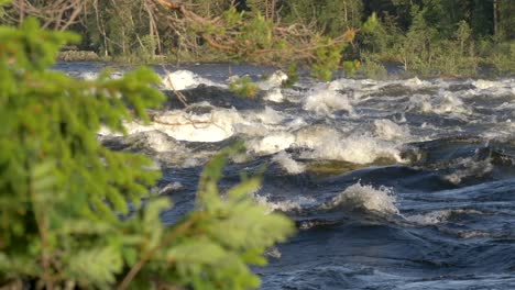 Wild-Scandinavian-river-flowing-rapidly-in-4k