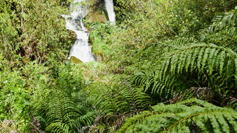Magical-waterfall-flowing-down-green-growing-mountains-with-Fern-during-sunlight-in-New-Zealand-Rainforest---Waihi-Falls-in-summer
