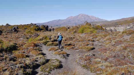 Female-tourist-hikes-Te-Araroa-Trail-in-Tongariro-National-Park,-NZ