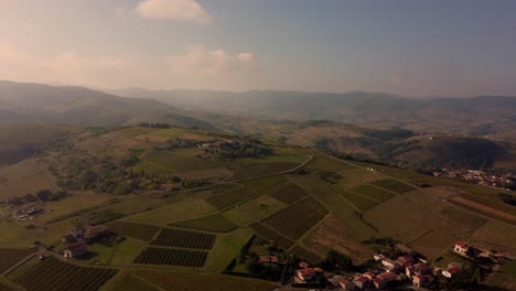 Drohne-Fliegt-Bei-Sonnenuntergang-über-Die-Weinhügel-In-Villefranche-Beaujolais,-Rotweinproduktion-Traubenernte-Saisonale-Arbeit