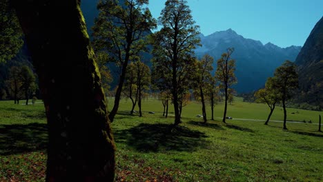 Arces-Coloridos-En-Ahornboden-En-Tirol,-Austria-Con-Hojas-De-Otoño-Rojas-Y-Amarillas-En-Otoño-Soleado-Y-Vibrante-En-Las-Montañas-De-Los-Alpes-Con-Un-Bosque-En-Rissach-Engtal-Lugar-De-Viaje-Turístico