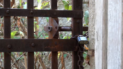 Padlocked-rusted-iron-prison-door-with-weed-choked-prison-yard-in-background