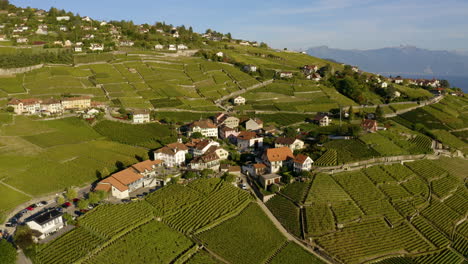 Swiss-Houses-Surrounded-By-Vineyard-Fields-In-Aran-Village,-Lavaux,-Switzerland-With-Lac-Leman-Revealed