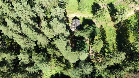 Old-abandoned-hut-surrounded-by-dense-forest-near-road-in-Lithuania,-aerial-ascend-view