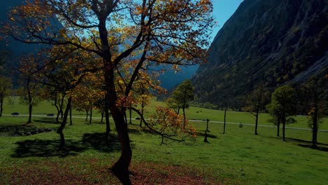 Arces-Coloridos-Y-Vibrantes-En-Ahornboden-En-Tirol,-Austria-Con-Hojas-De-Otoño-Rojas-Y-Amarillas-En-Otoño-Soleado-En-Las-Montañas-De-Los-Alpes-Con-Un-Bosque-En-El-Lugar-Turístico-De-Rissach-Engtal