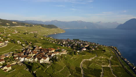 Fly-Over-Townscape-Surrounded-By-Lush-Lavaux-Vineyards-Over-Grandvaux-Overlooking-Lake-Geneva-In-Switzerland