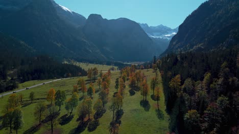 Lebendige-Ahornbäume-Mit-Bunten-Roten-Und-Gelben-Herbstblättern-Im-Sonnigen-Herbst-In-Den-Alpen-In-Tirol,-österreich-Am-Malerischen-Ahornbodenwald-Am-Rissach-Engtal-Touristenreiseort