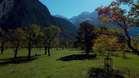 Lebhafte-Kanadische-Ahornbäume-Mit-Bunten-Roten-Und-Gelben-Herbstblättern-Im-Sonnigen-Herbst-In-Den-Alpenbergen-Mit-Einem-Wald-Am-Touristischen-Reiseort-Am-Ahornboden-Rissach-In-Tirol,-österreich
