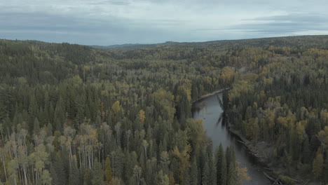 Panoramablick-Auf-Grüne-Kiefern--Und-Fichtenbaumkronen-Mit-Fließendem-Bach-In-British-Columbia,-Kanada