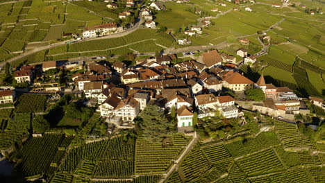 Aerial-View-Of-Grandvaux-Village-Surrounded-With-Vineyards-In-Lavaux-Oron,-Switzerland