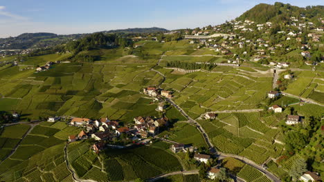 Lateral-View-Aran-Village-And-Vineyard-Terraces-In-Lavaux,-Switzerland-With-CFF-Train-Passing-By-At-Daytime