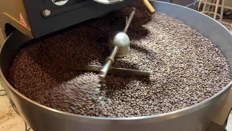 Fresh-specialty-coffee-beans-spinning-on-cooling-and-mixing-tray-in-regular-speed-to-reduce-the-heat-evenly-after-roasting,-production-warehouse-factory-shot-of-food-and-beverage-industry