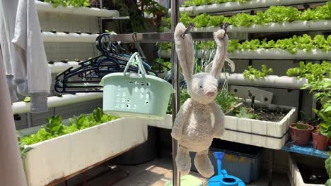 Stuffed-toy-rabbit-hanging-and-drying-under-bright-sunlight-at-backyard,-baby's-greatest-comfort
