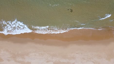 Birds-eye-view-of-a-beach-shore-and-its-waves