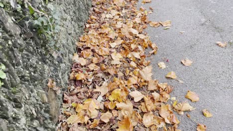 Fallen-leaves-next-to-a-grey-stonewall