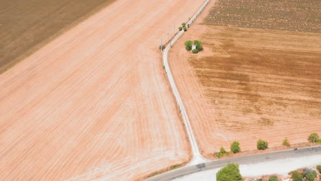 Aerial-view-of-French-farmland-in-Provence