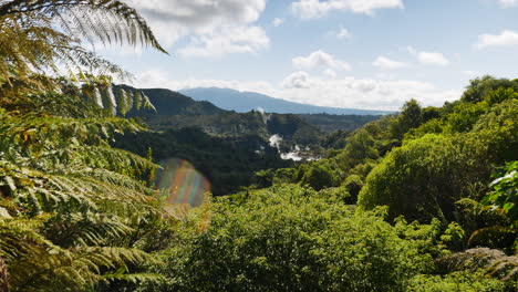 Dolly-Aufnahme-Idyllischer-Natur-Mit-Baum--Und-Pflanzenarten-An-Sonnigen-Tagen---Silhouette-Der-Berge-Und-Aufsteigender-Dampf-Des-Kochenden-Sees-Im-Hintergrund---Waimangu,-Neuseeland