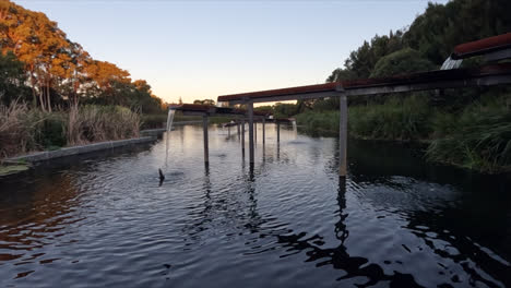 A-water-feature-flows-into-a-lake-at-Sydney-Park,-Australia