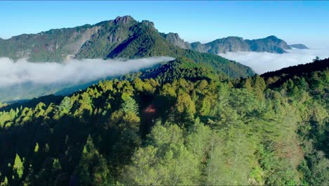 Luftflug-über-Das-Idyllische-Meer-Des-Alishan-bergnationalparks-Mit-Wolken-Zwischen-Waldbäumen-Und-Bergen-An-Sonnigen-Tag---Taiwan,-Asien