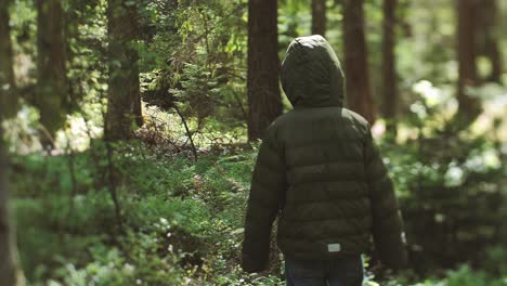 Child-alone-in-the-woods