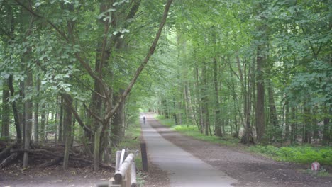 Park-Forest-Road-En-La-Ciudad-De-Bruselas,-Bélgica,-Con-Un-Ciclista-En-Bicicleta-Tranquilamente-A-Lo-Lejos-En-Una-Cálida-Mañana-De-Verano,-Rodeado-De-árboles-Y-Paisajes-Densos,-Exuberantes-Y-Verdes