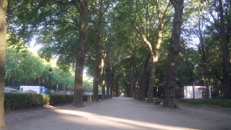 Symmetrical-park-road-with-beautiful-tall-green-trees-in-the-summer-on-a-warm-morning-in-Brussels,-Belgium,-next-to-the-Koekelberg-church