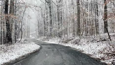 Un-Video-En-Cámara-Lenta-De-La-Nieve-Cayendo-En-Un-Camino-De-Tierra-En-El-Bosque-En-La-Temporada-De-Invierno