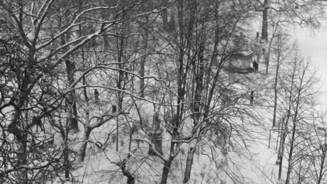 Luftaufnahmen-Von-Schneefall-Im-überfüllten-öffentlichen-Park