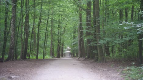 Park-Forest-Road-En-Bruselas,-Bélgica,-Con-Una-Persona-En-La-Distancia-En-Un-Paseo-Matutino