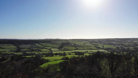 Aerial-rising-view-over-trees-opening-to-green-fields-in-the-Otter-Valley-near-Honiton-Devon-England-UK