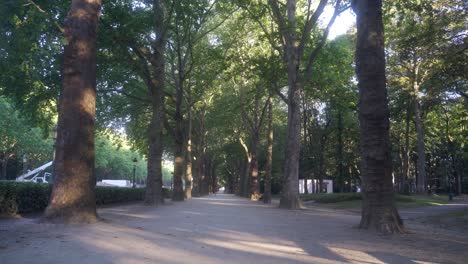 Beautiful-park-road-next-to-the-Koekelberg-cathedral-in-the-capital-city-of-Brussels,-Belgium,-on-a-warm-summer-morning