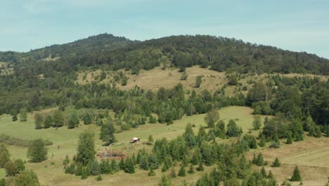 Mountain-Landscape-With-Lush-Vegetation,-Mountain-Radocelo,-Serbia-At-Daytime---aerial-drone-shot